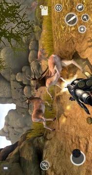 Deer Games 2019  Animal Shooting Games游戲截圖5