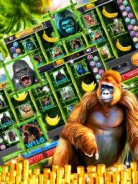 Gorilla King Slots Jungle游戲截圖3