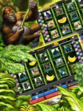 Gorilla King Slots Jungle游戲截圖1