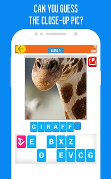 Zoomed - Picture Word Game游戲截圖1