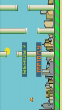 Square Bird Game游戲截圖3