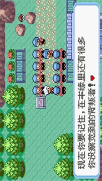 口袋妖怪蛇紋木游戲截圖2