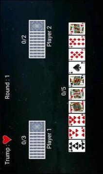 Cards 325游戲截圖5