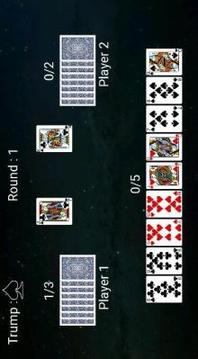 Cards 325游戲截圖4