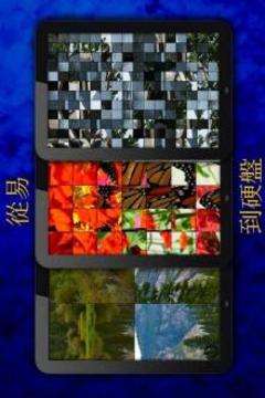 謎語游戲游戲截圖2