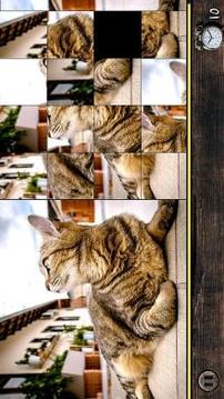 Cat Spot the difference & Puzzle游戏截图2