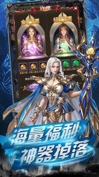 圣域神光游戲截圖1