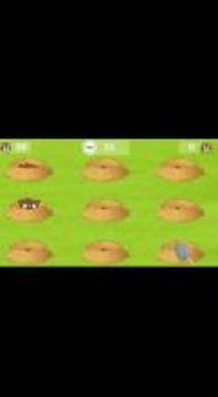 Mole Smash Game游戲截圖5