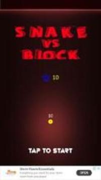 Snake VS Block Math游戏截图3