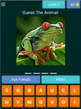 Guess The Animals & Earn REAL Money *游戲截圖5