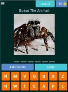 Guess The Animals & Earn REAL Money *游戲截圖4