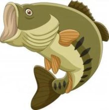 Fishing Ride游戲截圖1