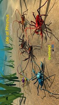 Life of Phrynus - Whip Spider游戲截圖1