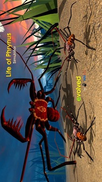 Life of Phrynus - Whip Spider游戲截圖2