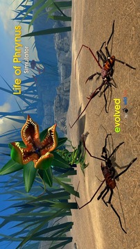 Life of Phrynus - Whip Spider游戲截圖3