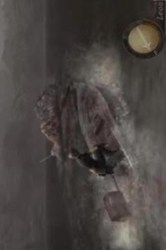 Resident Evil 4 Walkthrough Hint游戲截圖2