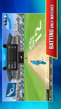 GodSpeed Cricket League游戲截圖4
