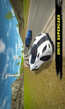 极速汽车模拟器2019游戏截图3