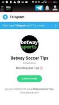 Betway Soccer Tips游戏截图1