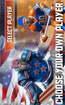 Ice Hockey Classic 3D游戲截圖3