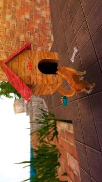 Pure Breed Miniature Dog Life Sim游戲截圖1