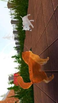 Pure Breed Miniature Dog Life Sim游戲截圖4