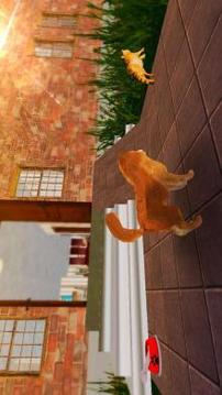 Pure Breed Miniature Dog Life Sim游戲截圖2