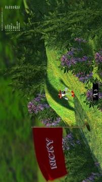 Nicky  The Home alone Golf Ball游戲截圖1
