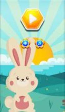 Bunny Hexa Puzzle Story游戲截圖5