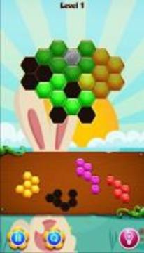 Bunny Hexa Puzzle Story游戲截圖2