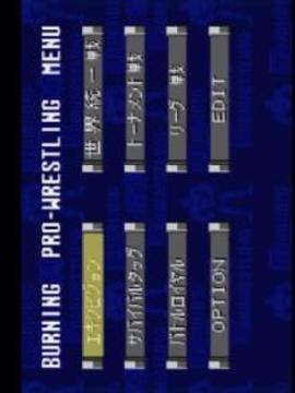 Burning Pro Wrestling游戲截圖2