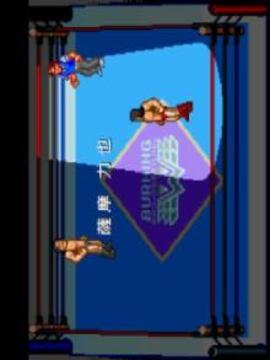 Burning Pro Wrestling游戲截圖4
