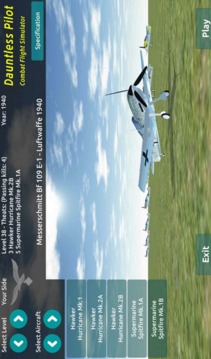 二战飞行模拟游戏截图3