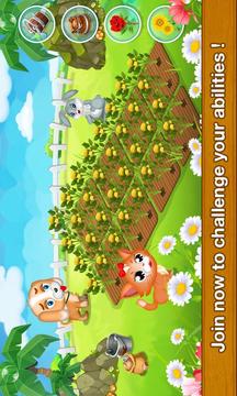 Pet Farm Story游戲截圖5