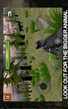 Jungle Animal Hunting - The Best Hunting Game游戲截圖2