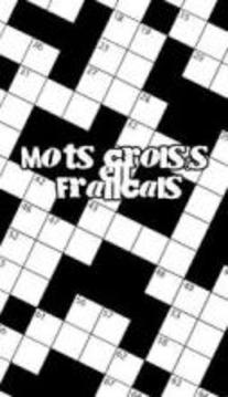 Crossword in French游戏截图1