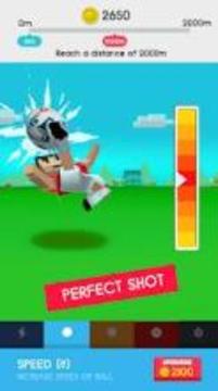 Kick Soccer - World Football Championship游戲截圖4