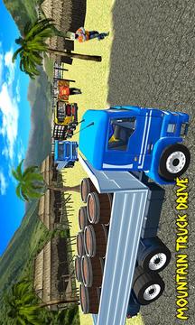 Truck Cargo Driving 3D游戏截图3