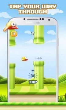 飛鳥3D游戲截圖3