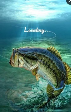 釣魚狂熱游戲截圖1