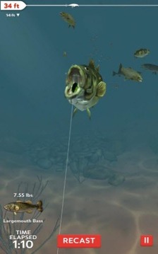 職業(yè)釣魚的日常游戲截圖3