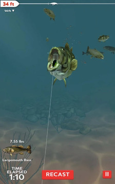 釣魚日常游戲截圖4
