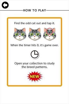 猫猫找茬游戏截图4