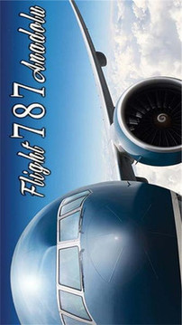 模拟飞行787 专业版游戏截图1