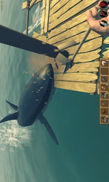 Shark vs Raft游戏截图1
