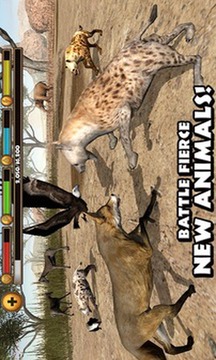 鬣狗模拟器游戏截图3
