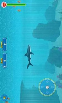 鲨鱼攻击完美版游戏截图5