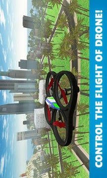 RC Quadcopter Drone Sim 3D游戲截圖3