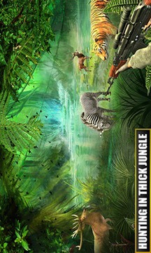 森林动物真正的狩猎游戏截图2