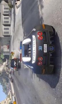 Real Sunny Police Car Simulator 2019 3D游戏截图3
